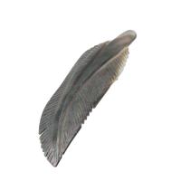 Shell Brooch, Zinc Alloy, with Shell, Feather, Unisex & can be used as brooch or pendant, grey 
