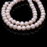Round Cultured Freshwater Pearl Beads, DIY, white, 8-9mm Approx 13.7 Inch 