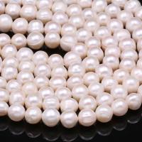 Round Cultured Freshwater Pearl Beads, DIY, white, 8-9mm Approx 15 Inch 