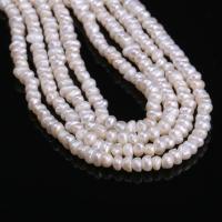 Button Cultured Freshwater Pearl Beads, DIY 2.5-3mm .96 Inch 
