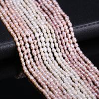 Rice Cultured Freshwater Pearl Beads, DIY 3-4mm Approx 15 Inch 