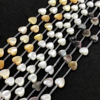Horseshoe Shell Beads, Heart, polished, DIY 8mm Approx 15 Inch 