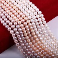 Round Cultured Freshwater Pearl Beads, DIY .96 Inch 