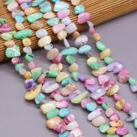 Dyed Shell Beads, DIY, mixed colors, 8x15- cm 