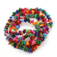 Dyed Shell Beads, Chips, DIY, mixed colors, 5-8mm cm 
