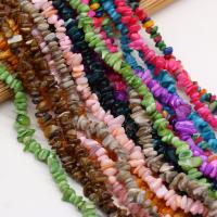 Dyed Shell Beads, Chips, DIY 5-8mm cm 