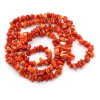 Dyed Shell Beads, Chips, DIY 5-8mm cm 