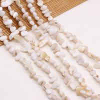 Natürliche weiße Muschelperlen, Muschel, Bruchstück, DIY, weiß, 8x15-10x20mm, Länge:80 cm, verkauft von Strang
