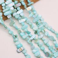 Dyed Shell Beads, Chips, DIY, blue, 8x15- cm 