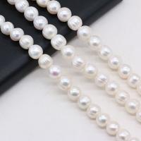 Button Cultured Freshwater Pearl Beads, DIY, white, 8-9mm cm 