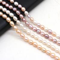 Perlas Arroz Freshwater, Perlas cultivadas de agua dulce, Bricolaje, más colores para la opción, 7-8mm, longitud:36 cm, Vendido por Sarta