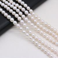 Round Cultured Freshwater Pearl Beads, DIY, white, 7-8mm cm 