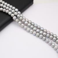 Button Cultured Freshwater Pearl Beads, DIY, grey, 10-11mm cm 