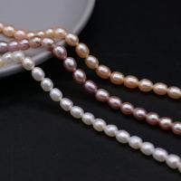 Perlas Arroz Freshwater, Perlas cultivadas de agua dulce, Bricolaje, más colores para la opción, 5-6mm, longitud:aproximado 14.17 Inch, Vendido por Sarta
