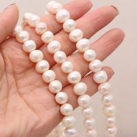 Round Cultured Freshwater Pearl Beads, DIY, white, 9-10mm Approx 14.17 Inch 