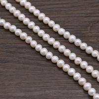 Round Cultured Freshwater Pearl Beads, DIY, white, 6.5-7mm Approx 14.17 