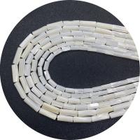 Shell Beads, Column, DIY white .96 Inch 