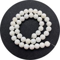 Shell Beads, Carved, DIY white, 6-12mm .96 Inch 