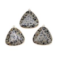 Pendentifs en pierre zèbre, laiton, avec Dalmate, triangle, couleurs mélangées Vendu par PC