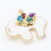 Brass Shell Pendants, White Shell, with Gemstone & Brass, Elephant, gold color plated, fashion jewelry 