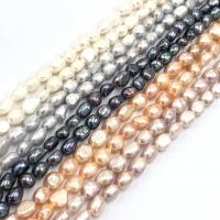 Button Cultured Freshwater Pearl Beads, polished, DIY Approx 15 Inch 