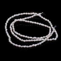 Perlas Arroz Freshwater, Perlas cultivadas de agua dulce, Bricolaje, Blanco, 2.0-2.3mm, longitud:14.96 Inch, Vendido por Sarta