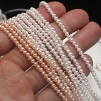 Round Cultured Freshwater Pearl Beads, DIY 3.5-4mm Approx 15 Inch 