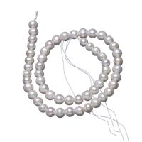 Round Cultured Freshwater Pearl Beads, DIY, white, 7-8mm Approx 14.17 