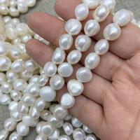 Button Cultured Freshwater Pearl Beads, irregular, DIY white Approx 14.57 