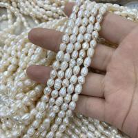 Perles d'eau douce de culture de riz, perle d'eau douce cultivée, blanc, 5-6mm Environ 13.78 pouce, Vendu par brin