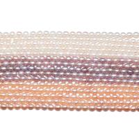 Perles d'eau douce de culture de riz, perle d'eau douce cultivée, DIY, plus de couleurs à choisir, 4-5mm .96 pouce, Vendu par brin