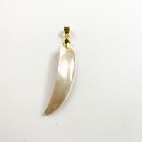 Brass Shell Pendants, Freshwater Shell, with Brass, gold color plated, fashion jewelry 