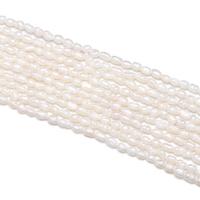 Perlas Arroz Freshwater, Perlas cultivadas de agua dulce, Bricolaje, Blanco, 2-2.5mm, longitud:14.96 Inch, Vendido por Sarta