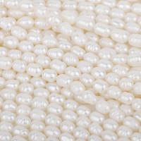 Perles d'eau douce de culture de riz, perle d'eau douce cultivée, DIY, blanc, 7-8mm .96 pouce, Vendu par brin