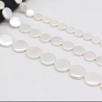 Peties perles de la mer du sud, Shell Pearl, pièce de monnaie, DIY & normes différentes pour le choix, blanc, 8-20mm .96 pouce, Vendu par brin