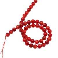 Natural Coral Beads, Round, DIY, red cm 