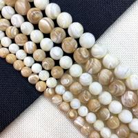 Trochus Beads, Trochus Shell, Round, DIY Approx 15 Inch 