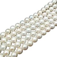 Round Cultured Freshwater Pearl Beads, DIY, white, 10-12mm Approx 15 Inch 