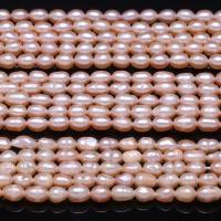 Perles d'eau douce de culture de riz, perle d'eau douce cultivée, différentes qualités de choix & DIY, rose, 4-5mm, Environ Vendu par brin