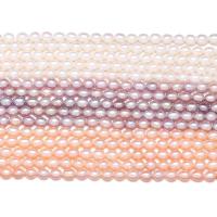 Perles d'eau douce de culture de riz, perle d'eau douce cultivée, DIY, plus de couleurs à choisir, 4-5mm, Environ Vendu par brin