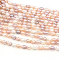 Rice Cultured Freshwater Pearl Beads, DIY mixed colors 