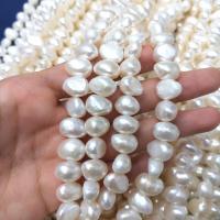 Keshi Cultured Freshwater Pearl Beads, Tooth, DIY, white, 9mm Approx 15 Inch 