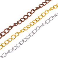 Iron Twist Oval Chain 