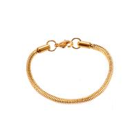 Titane bracelet en acier et bracelet, Acier titane, Placage ionique sous vide, unisexe & normes différentes pour le choix, doré, Vendu par PC