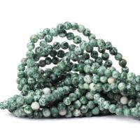 Natural Tree Agate Beads, Round, DIY green 