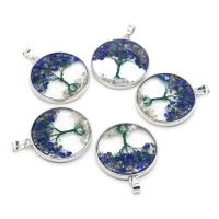 Natural Lapis Lazuli Pendants, Resin, with Lapis Lazuli & Shell & Brass, Flat Round, plated, tree of life design & Unisex, blue 