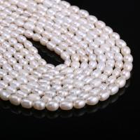 Perles d'eau douce de culture de riz, perle d'eau douce cultivée, DIY, blanc, 5-6mm Environ 38 cm, Vendu par brin