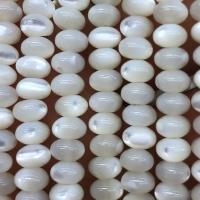 Trochus Shell Beads, Abacus, DIY .96 Inch 