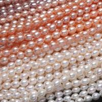 Perlas Arroz Freshwater, Perlas cultivadas de agua dulce, Bricolaje, más colores para la opción, 7-8mm, longitud:14.96 Inch, Vendido por Sarta