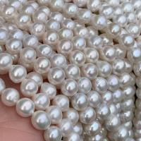 Round Cultured Freshwater Pearl Beads, DIY, white, 6.5-7.5mm .96 Inch 